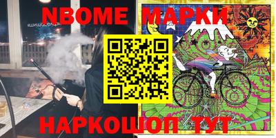 стафф Донской