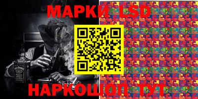 стафф Донской