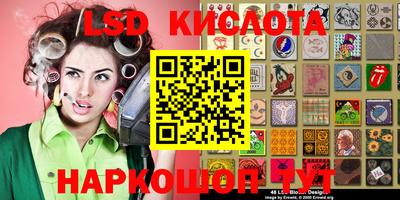 стафф Донской