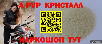стафф Донской